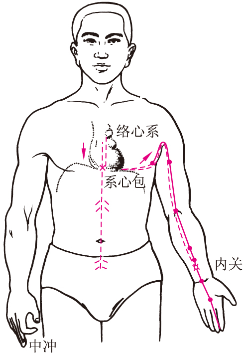 img/ueditor/1527217977874zy0122手厥阴心包络经143.jpg