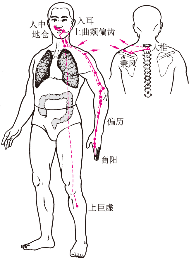 img/ueditor/1527222364676zy0115手阳明大肠经148.jpg