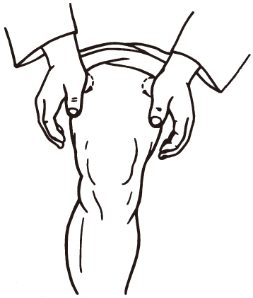 img/ueditor/1527236518110ZY0522-t6保健推拿-拿揉大腿.jpg