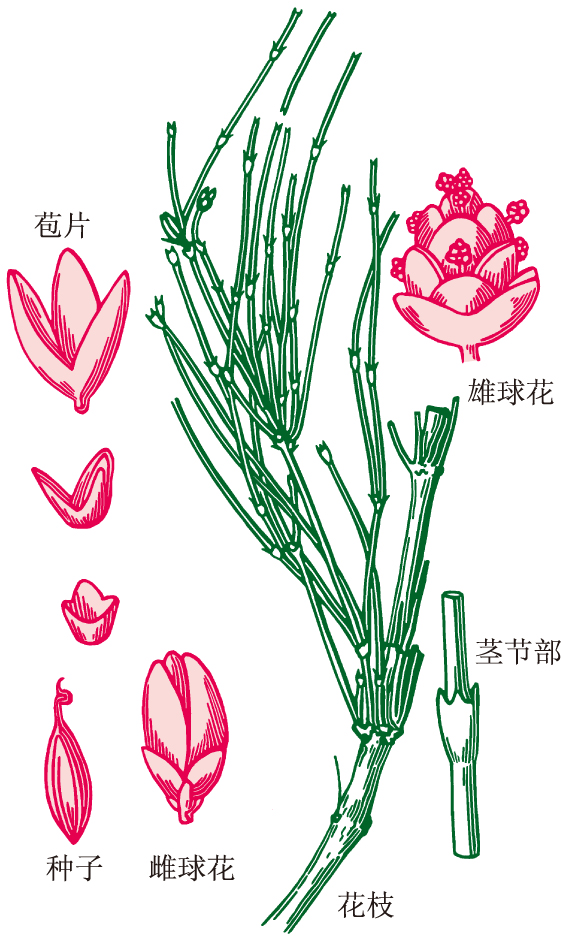 img/ueditor/1528093044149ZY0345-t2��ơ������070.jpg
